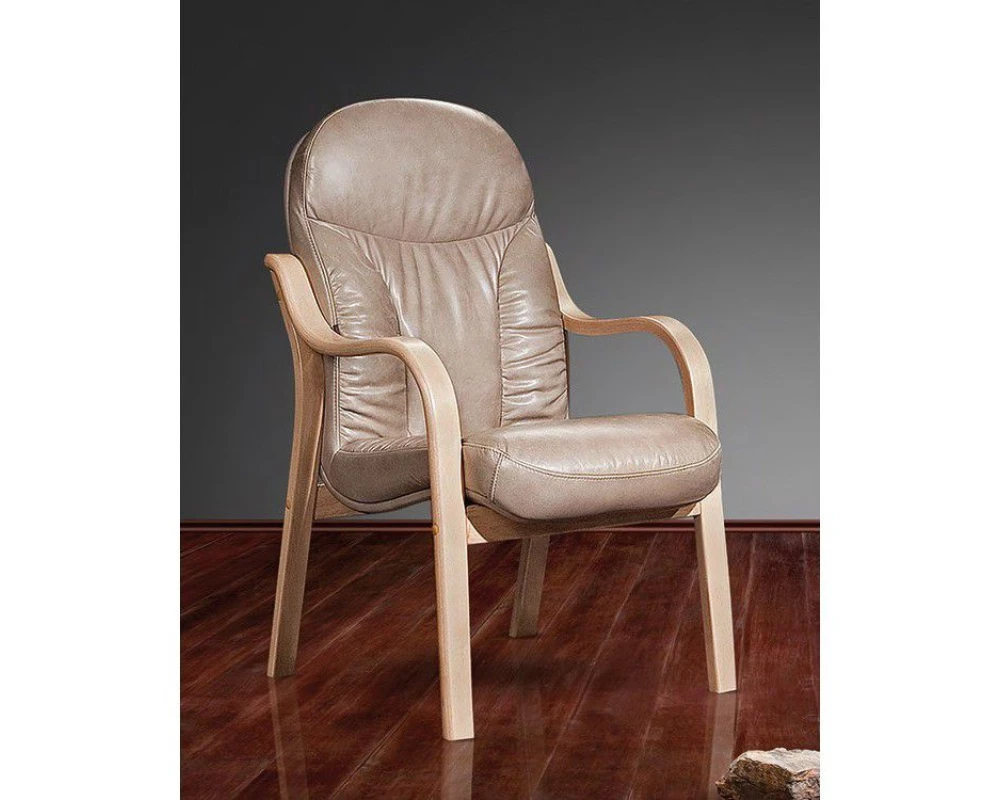 Стул офисный Ренуар SE-010