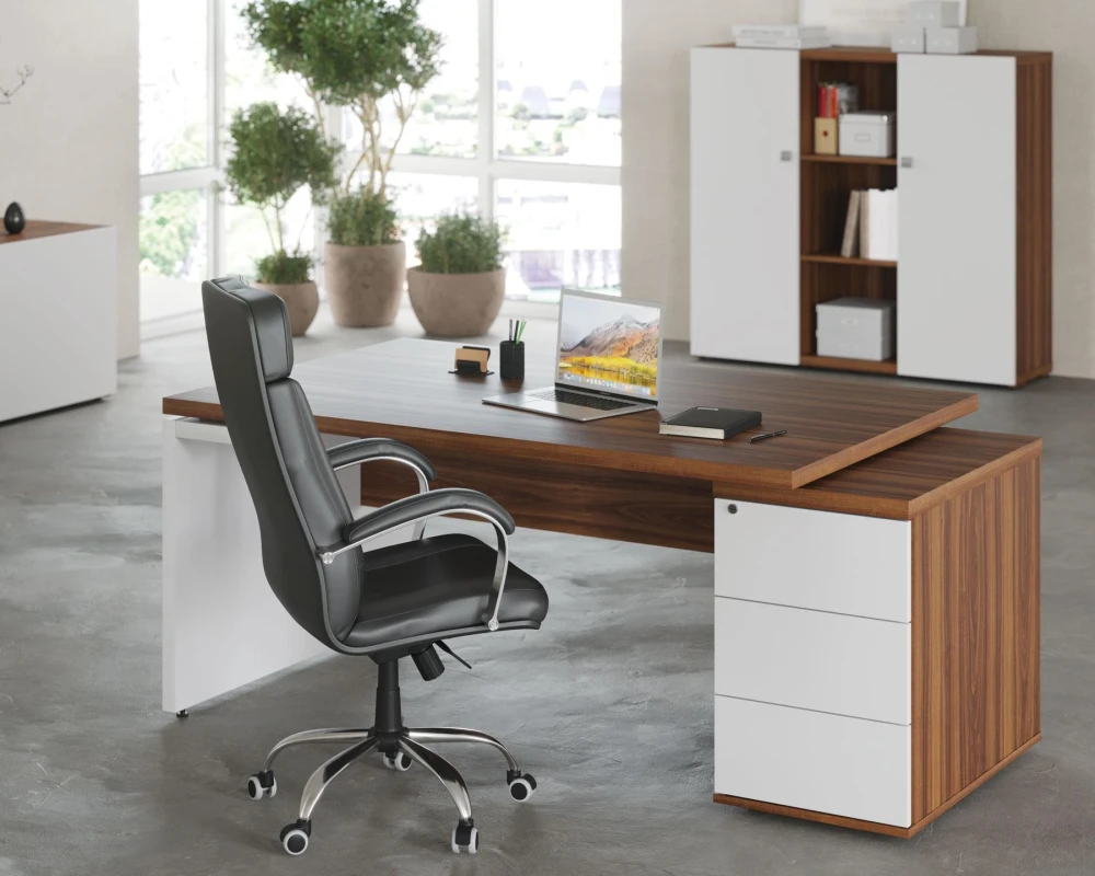 Кабинет руководителя Сион / Zion