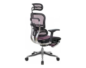 Кресло Ergohuman PLUS Legrest images