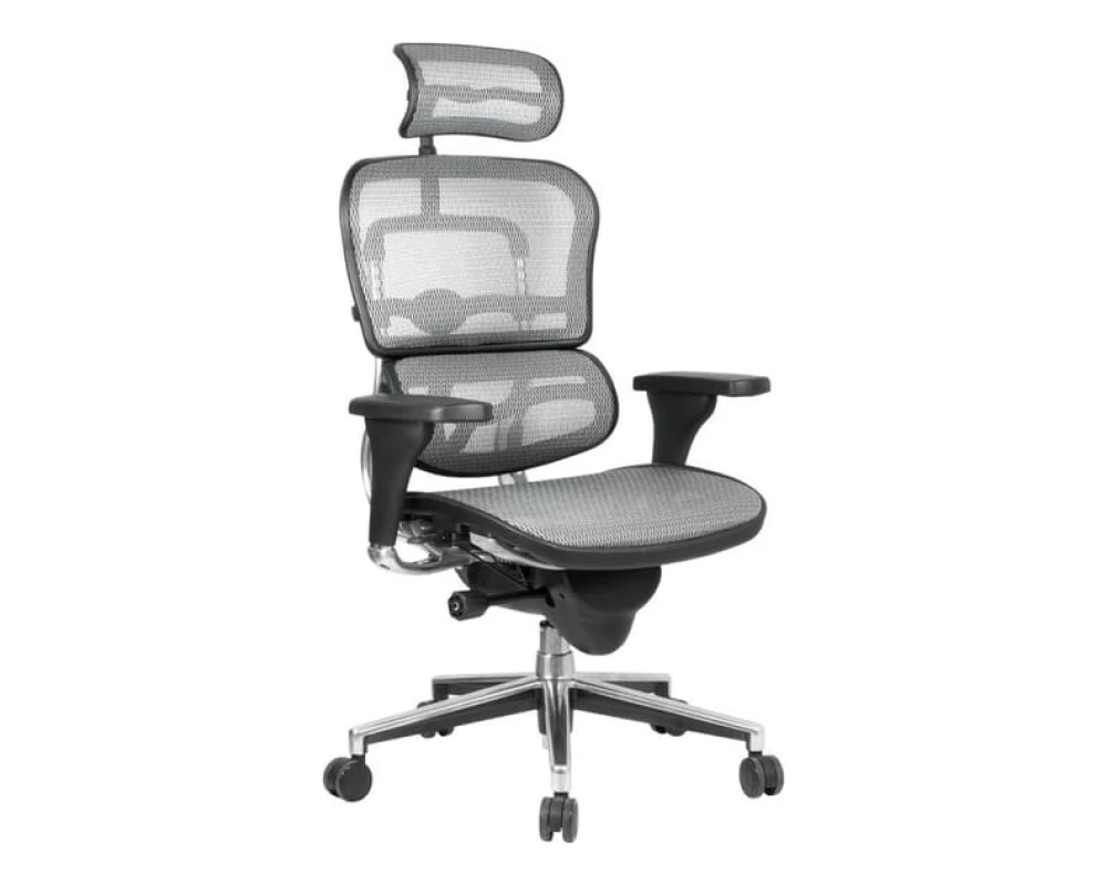 Кресло Ergohuman Standart