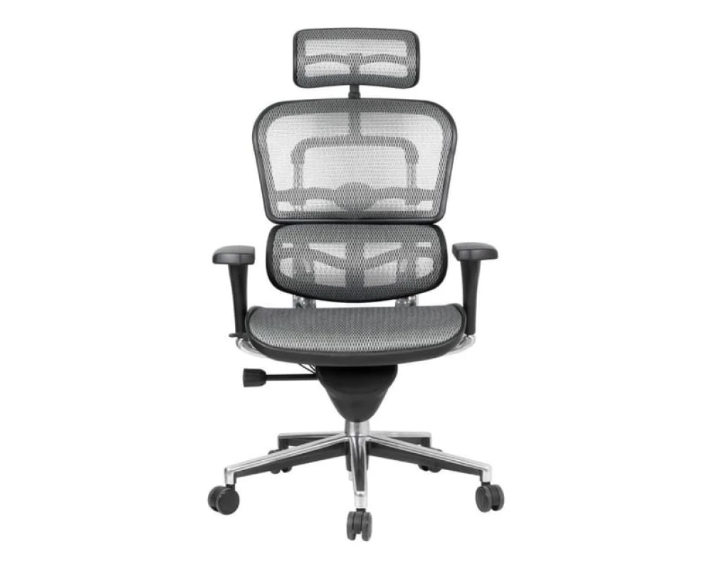 Кресло Ergohuman Standart