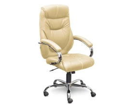 Кресло Аляска СН-153 В хром/ХДП images