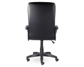 Кресло Атлант В пластик-люкс images