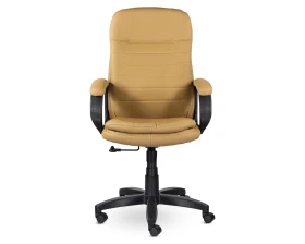 Кресло Дакота СН-251 В пластик 727 images