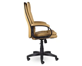 Кресло Дакота СН-251 В пластик 727 images