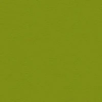 P2 EUROLINE 1131 (оливково-желтый)