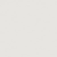 P2 EUROLINE 920 (ультра белый)